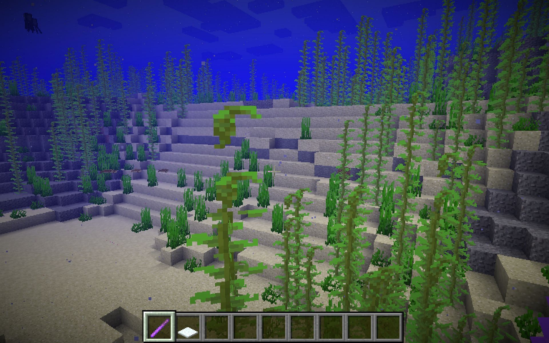 Kelp doesn't need a lot to grow (Image via Minecraft)